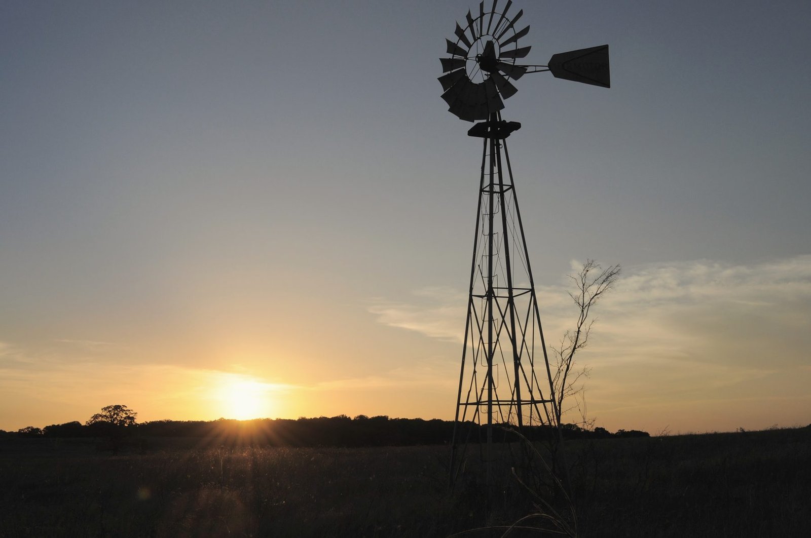 A windmill silhouetted against a low sun over dark brush